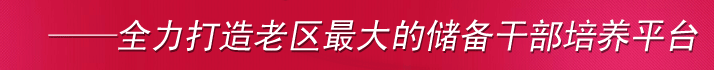 ˲